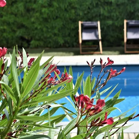 De Oude Limonadefabriek Bed & Breakfast *