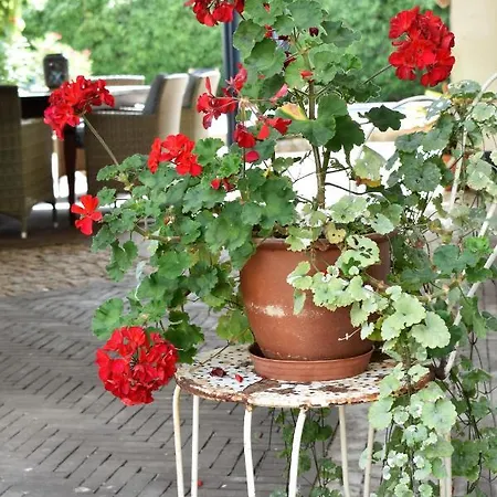 De Oude Limonadefabriek Beek (Limburg)