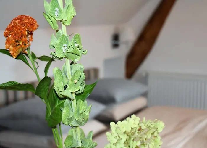 De Oude Limonadefabriek