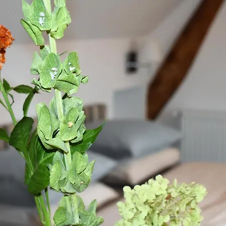 De Oude Limonadefabriek