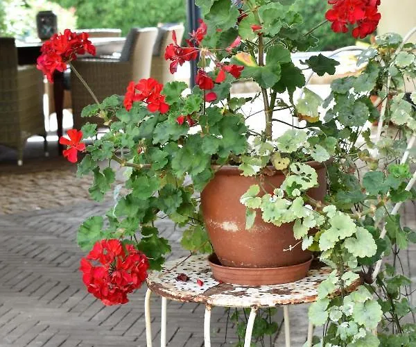 De Oude Limonadefabriek Beek (Limburg)